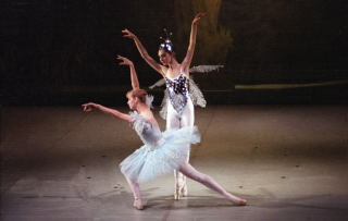 cinderella 17-6