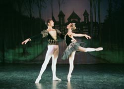 Swan Lake