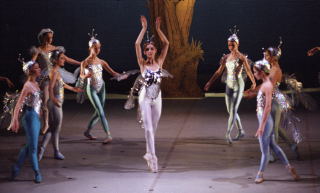 cinderella 17-8